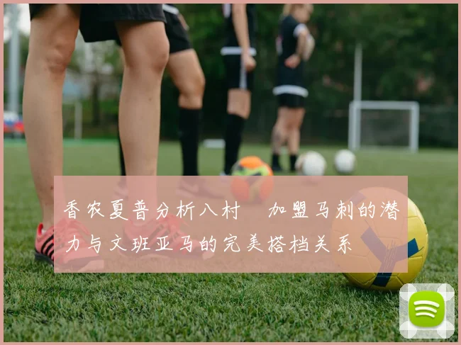 香农夏普分析八村塁加盟马刺的潜力与文班亚马的完美搭档关系