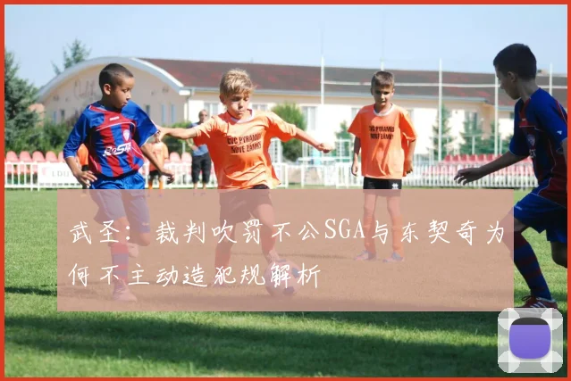 武圣：裁判吹罚不公SGA与东契奇为何不主动造犯规解析