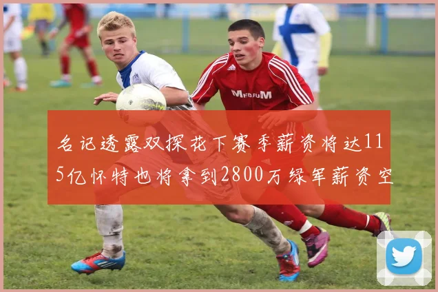 名记透露双探花下赛季薪资将达115亿怀特也将拿到2800万绿军薪资空间依旧紧张